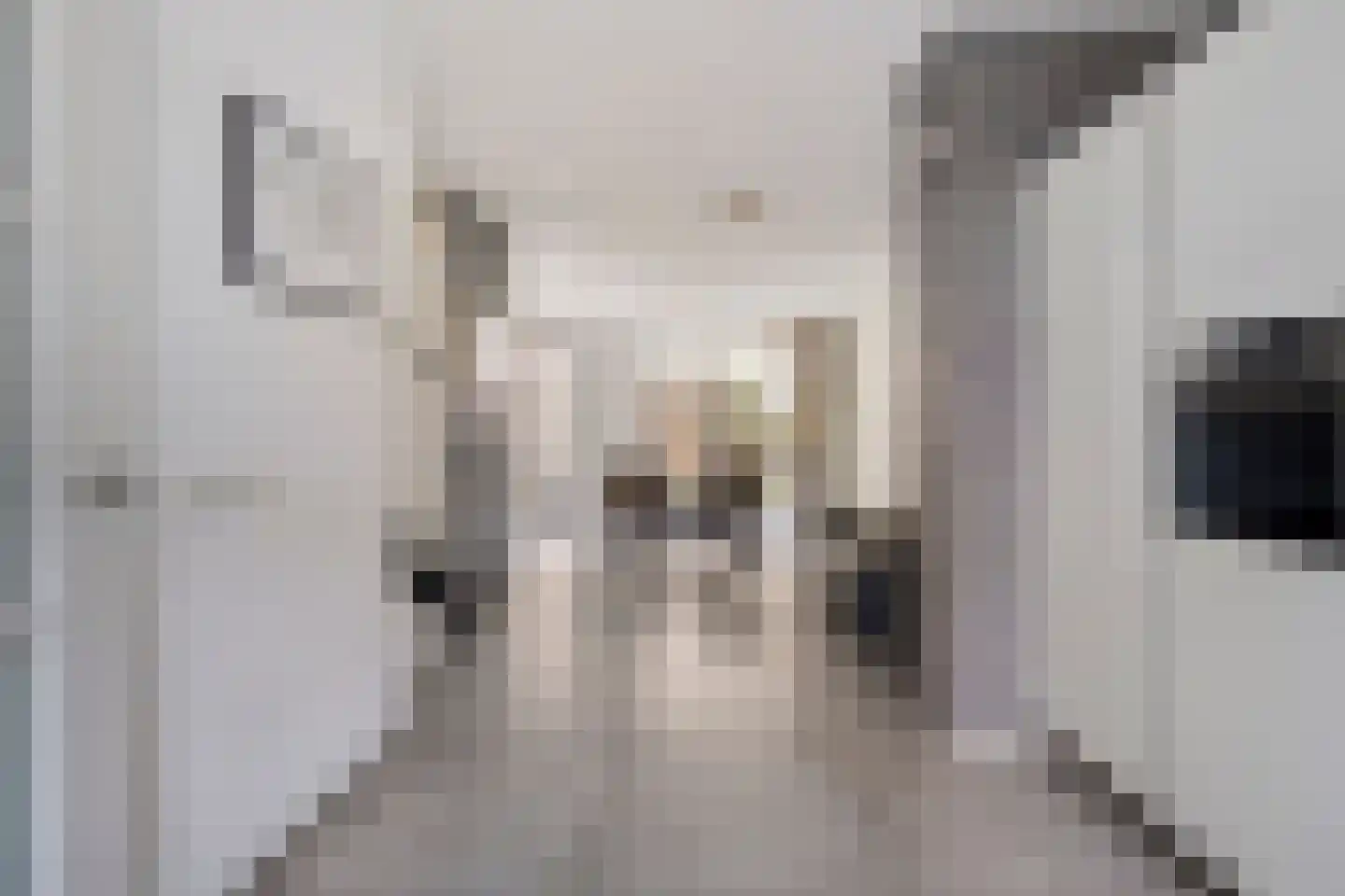 President Rooseveltlaan 46 Maastricht thumbnail 8