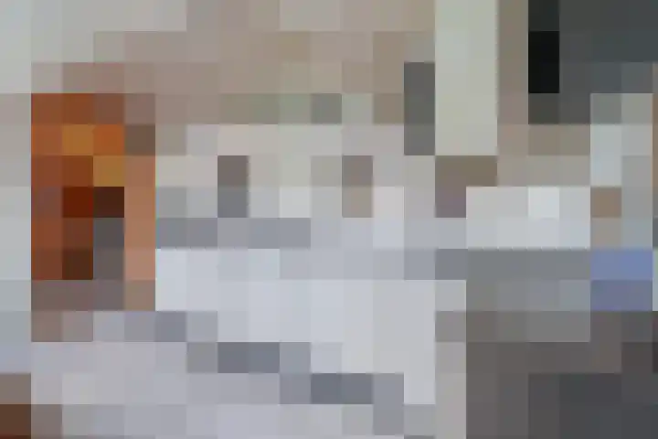 President Rooseveltlaan 87 Vlissingen thumbnail 12