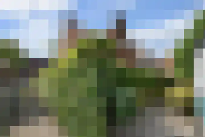 President Rooseveltlaan 87 Vlissingen thumbnail 32