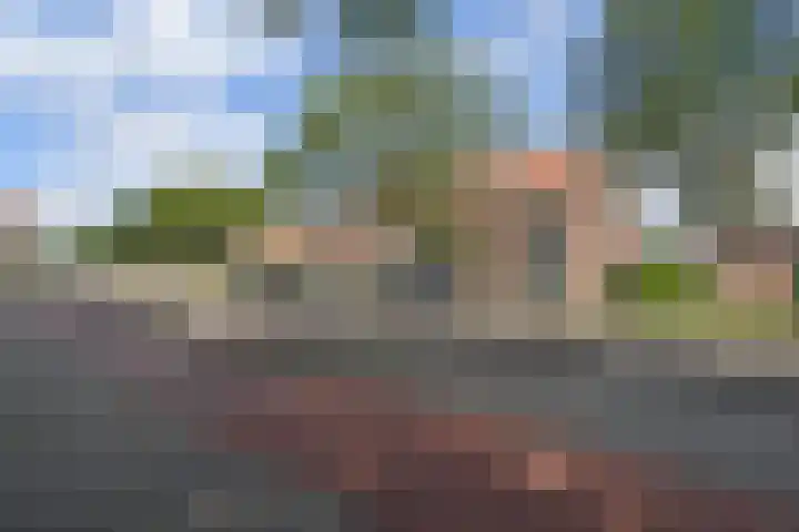 President Rooseveltlaan 87 Vlissingen thumbnail 36