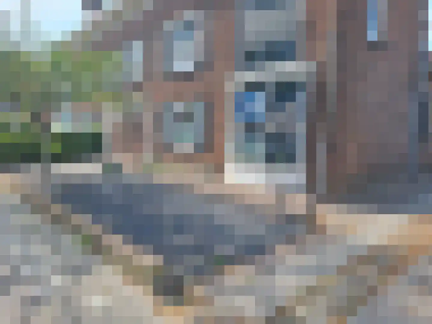 President Rooseveltlaan 89 Vlissingen thumbnail 30