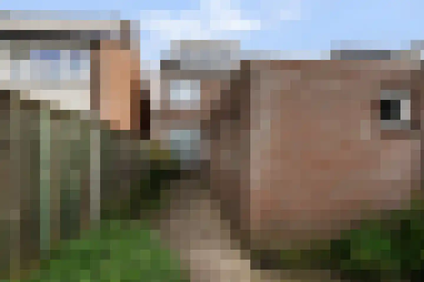 President Steijnstraat 14 Tilburg thumbnail 46