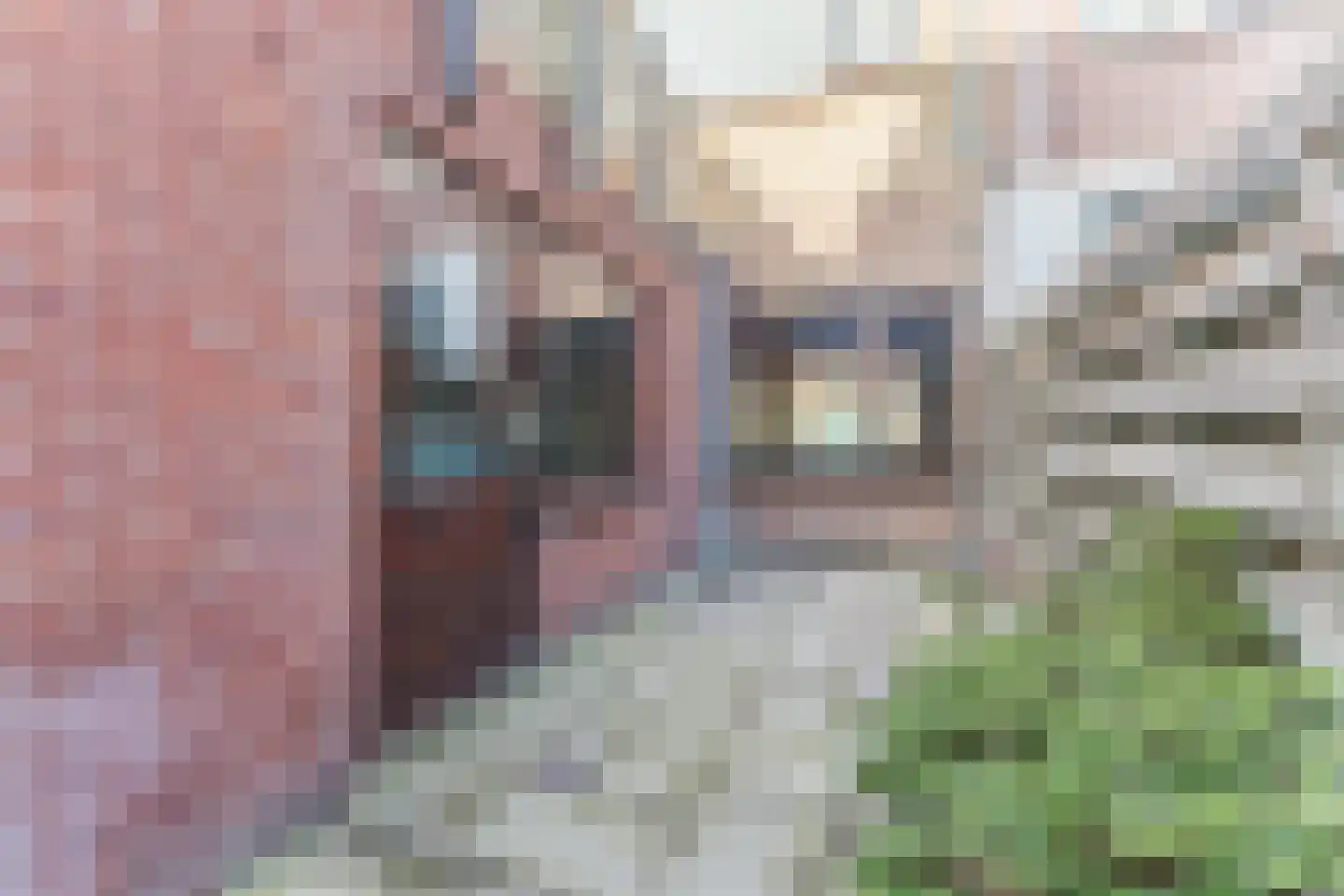 President Steijnstraat 147 Haarlem thumbnail 35