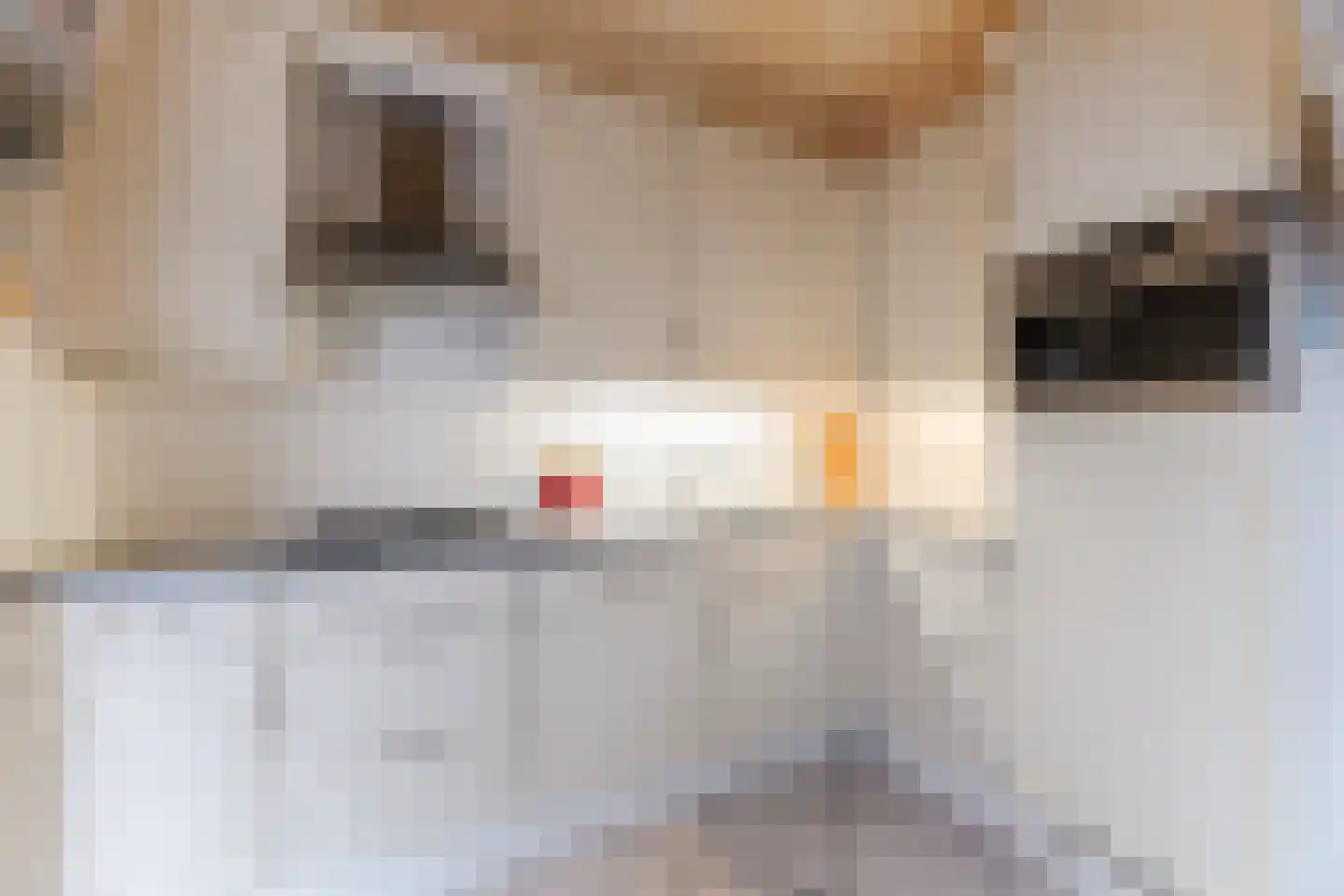President Steijnstraat 2 Tilburg thumbnail 7