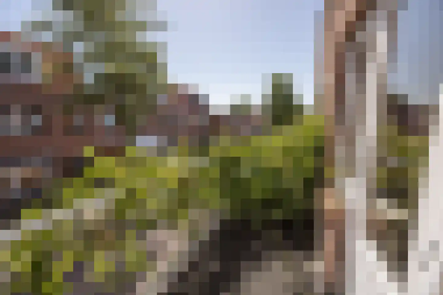 President Steijnstraat 22 Haarlem thumbnail 38