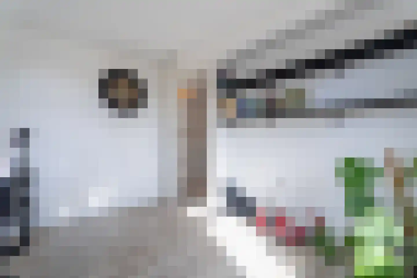 President Steijnstraat 31 Tilburg thumbnail 17