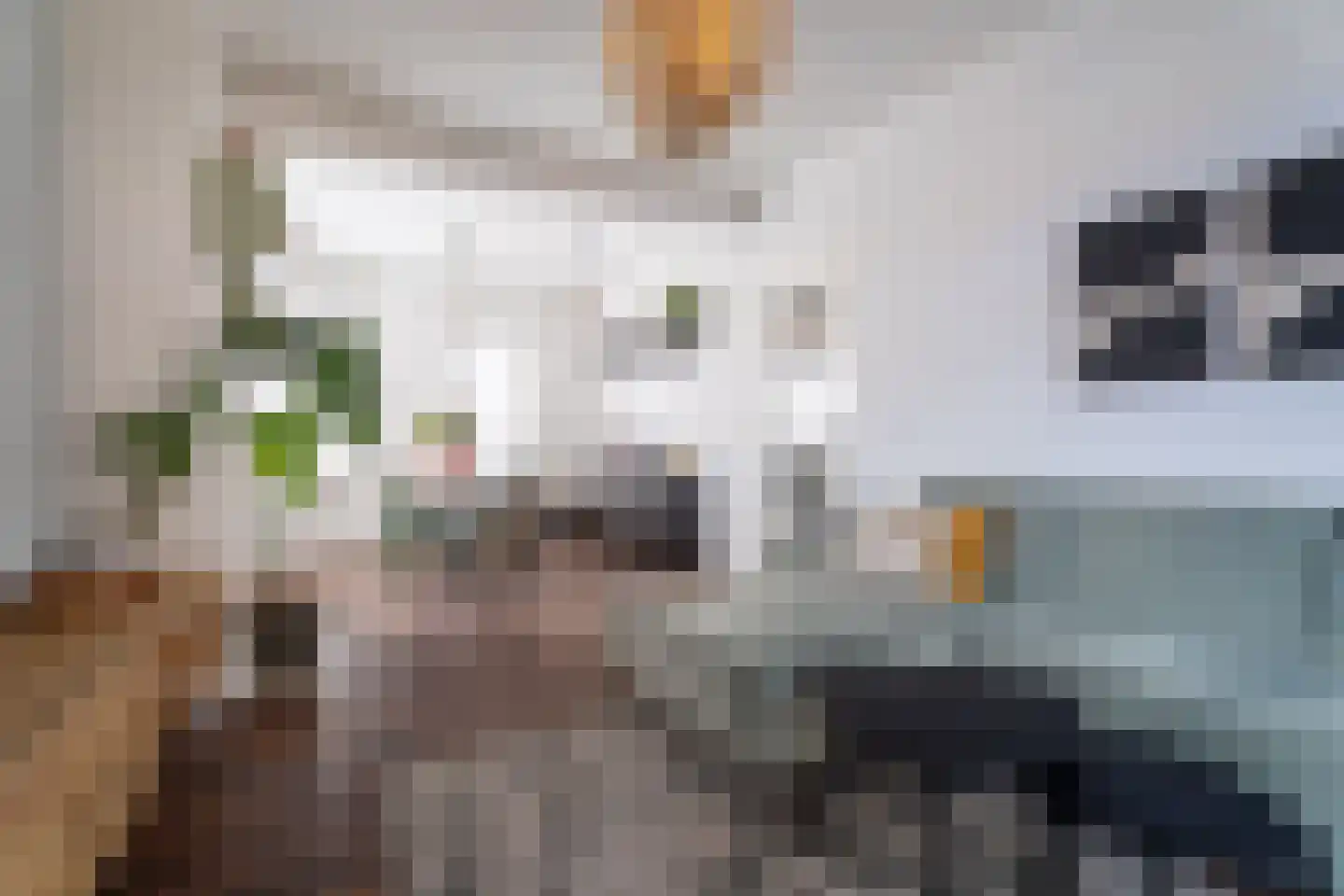 President Steijnstraat 31 Tilburg thumbnail 4