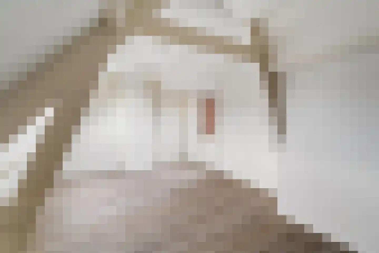President Steinstraat 1 B Leiden thumbnail 33