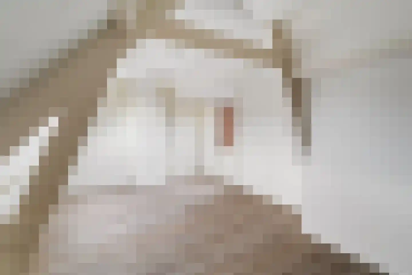 President Steinstraat 1 B Leiden thumbnail 33