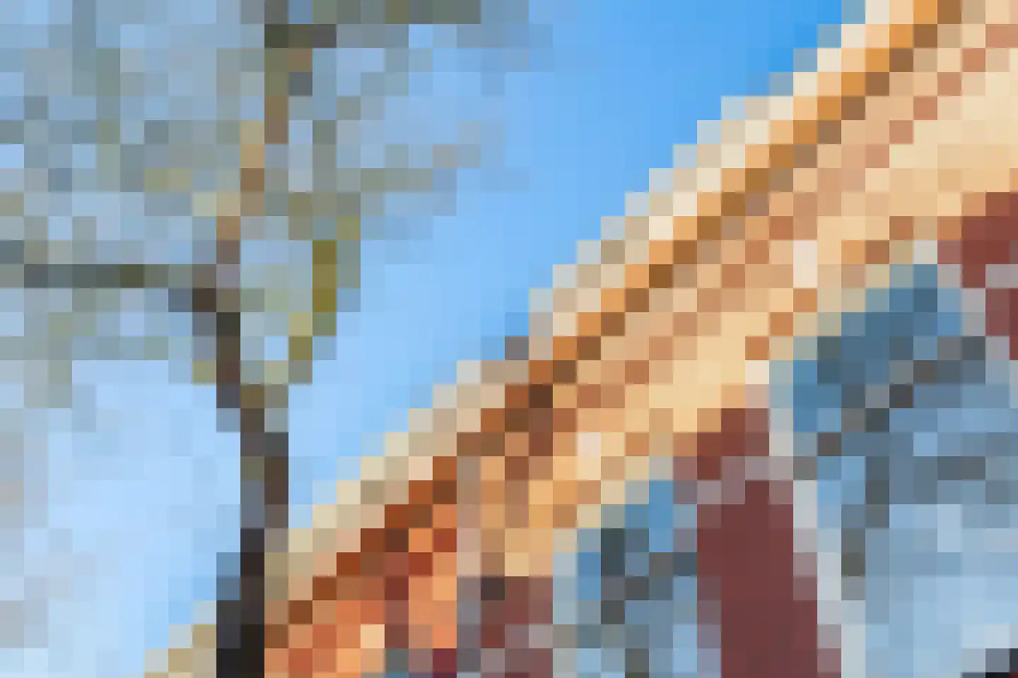 President Steinstraat 1 B Leiden thumbnail 40