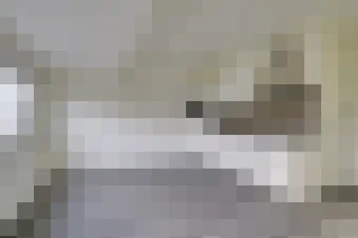 President Steinstraat 10 B Leiden thumbnail 7
