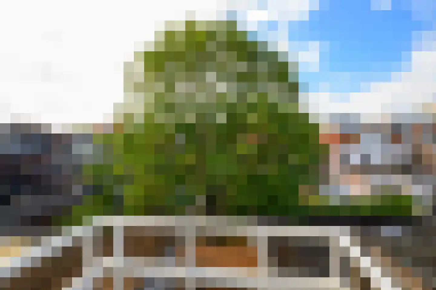 President Steinstraat 12 B Leiden thumbnail 15