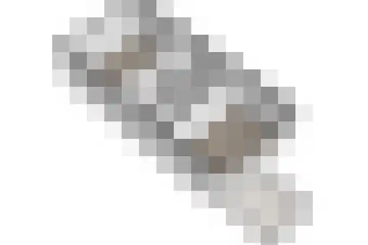 President Steinstraat 20 A Leiden thumbnail 34