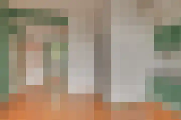 President Steinstraat 6 A Leiden thumbnail 12