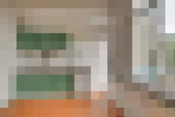 President Steinstraat 6 A Leiden thumbnail 13