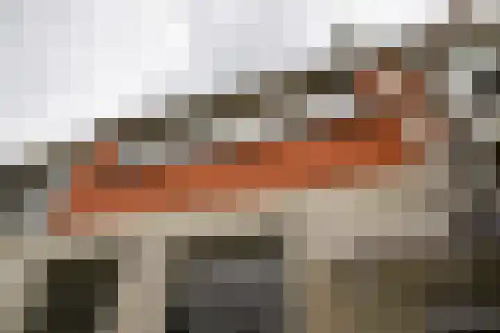 President Steinstraat 6 A Leiden thumbnail 16