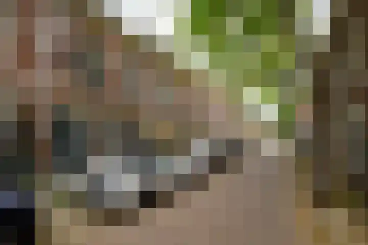President Steinstraat 6 A Leiden thumbnail 4