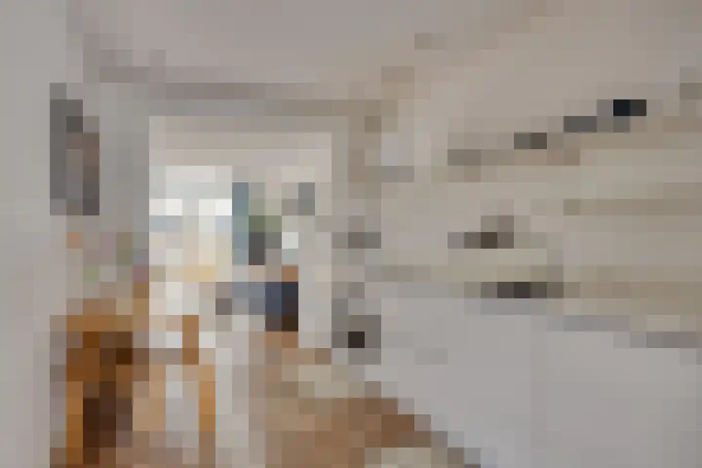 President Steynplantsoen 11 1 Amsterdam thumbnail 11