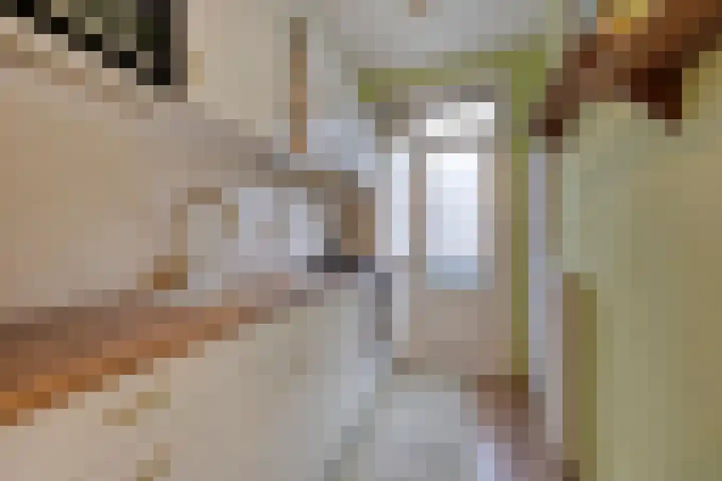 President Steynplantsoen 11 1 Amsterdam thumbnail 13