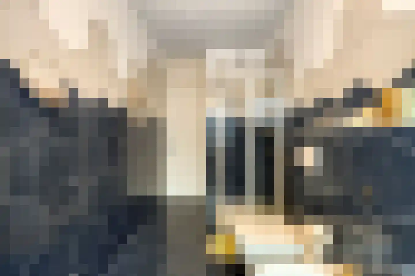 President Steynplantsoen 11 1 Amsterdam thumbnail 17