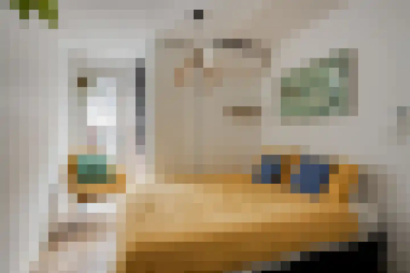 President Steynplantsoen 11 1 Amsterdam thumbnail 21