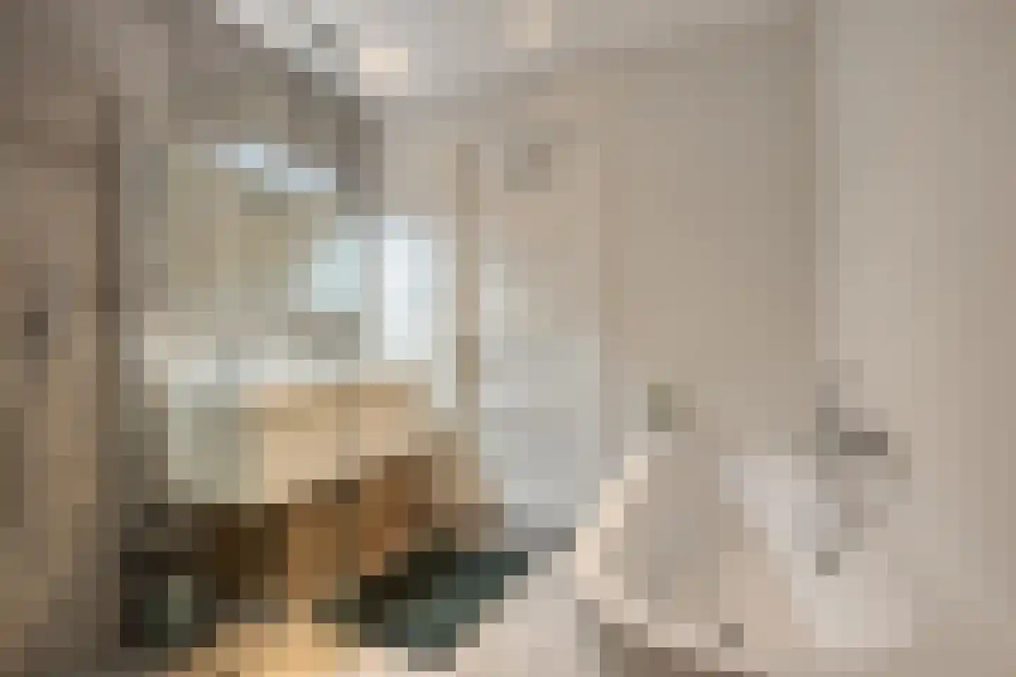 President Steynplantsoen 11 1 Amsterdam thumbnail 26