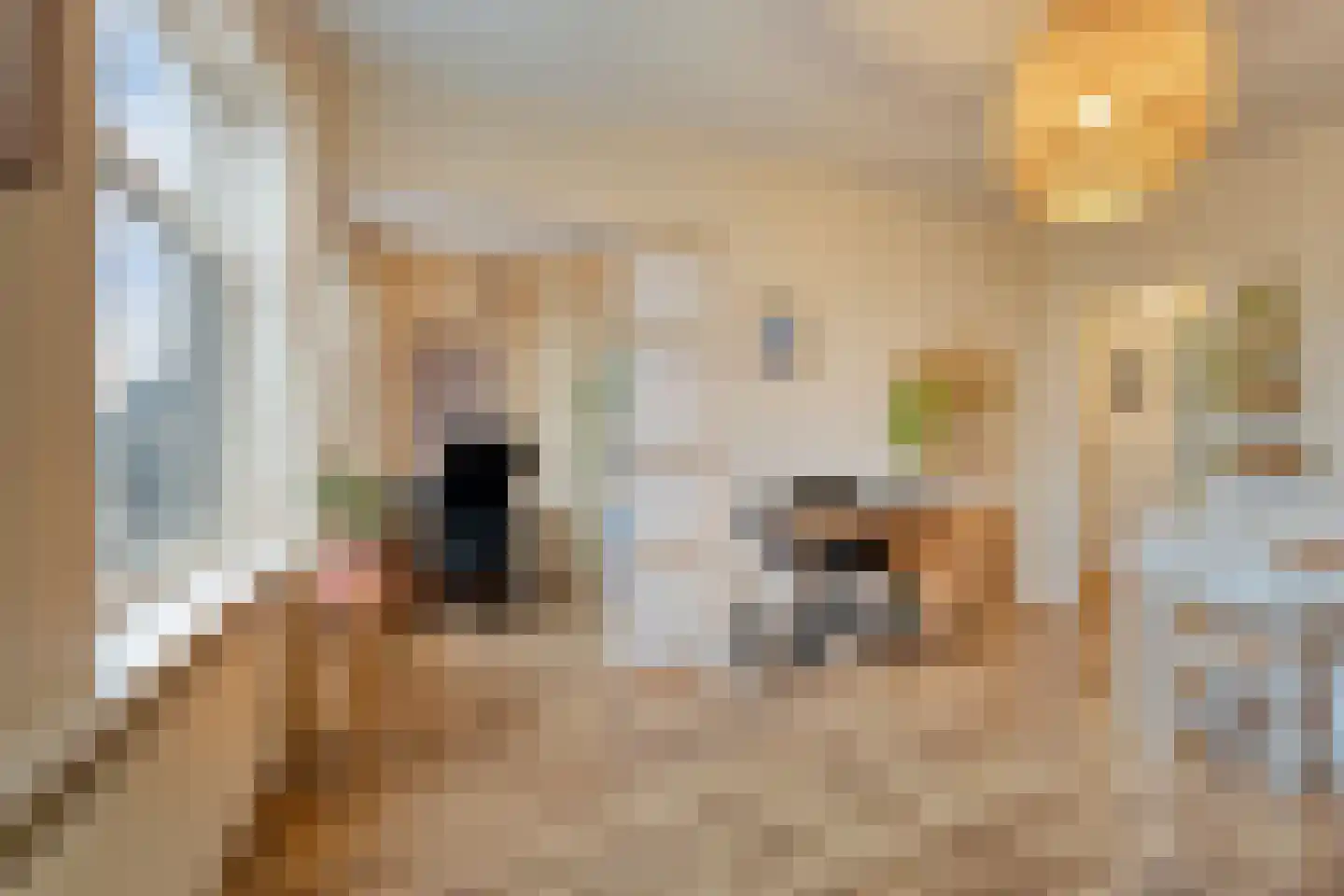 President Steynplantsoen 11 1 Amsterdam thumbnail 8