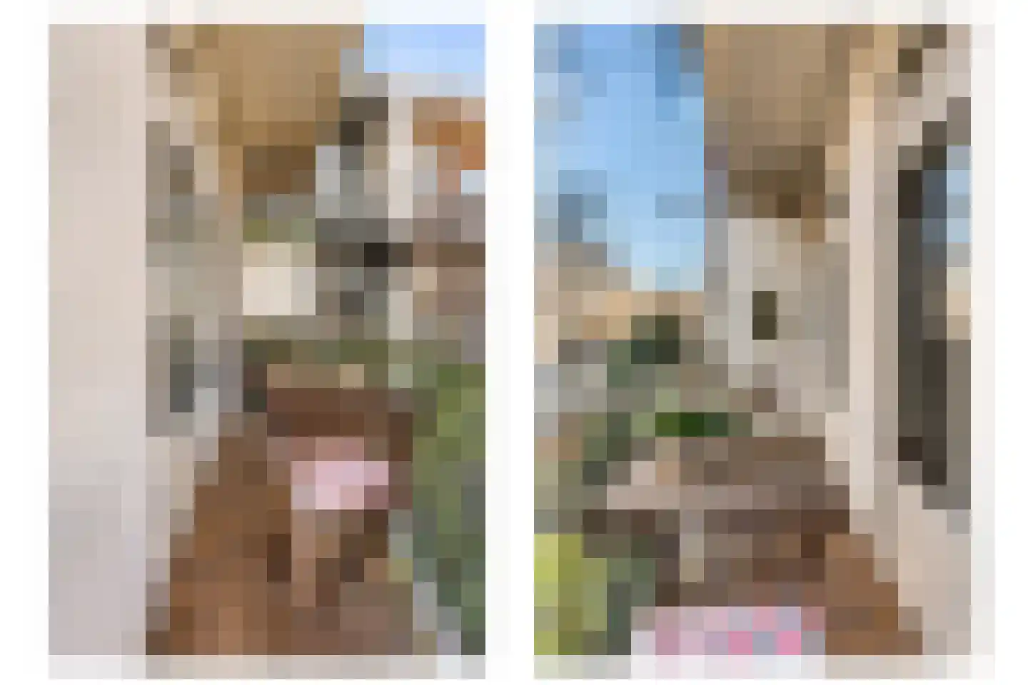 President Steynplantsoen 8 1 Amsterdam thumbnail 17