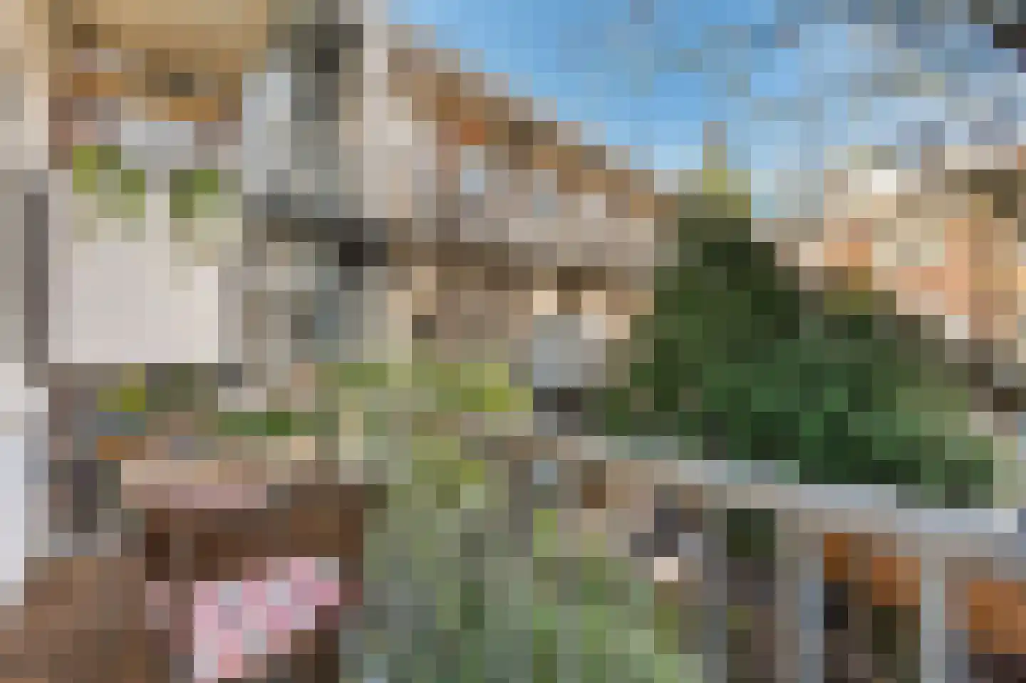 President Steynplantsoen 8 2 Amsterdam thumbnail 15