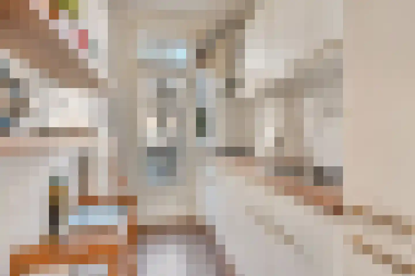 President Steynplantsoen 8 2 Amsterdam thumbnail 17