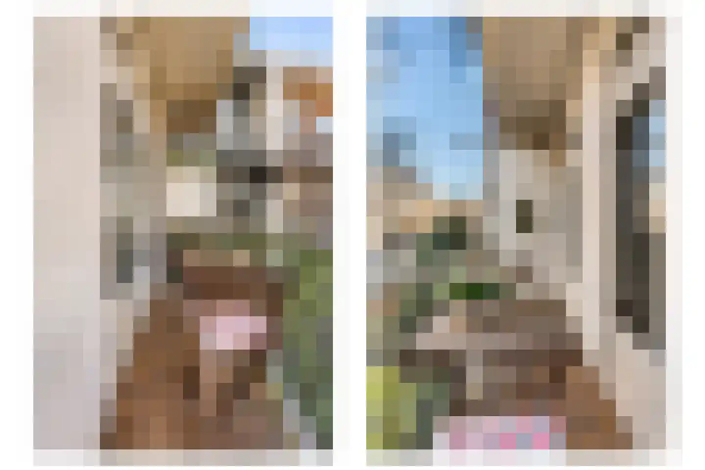 President Steynplantsoen 8 2 Amsterdam thumbnail 18