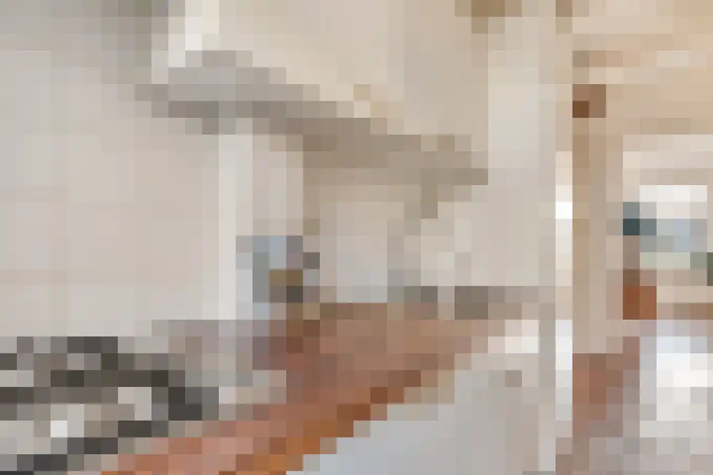 President Steynplantsoen 8 2 Amsterdam thumbnail 19
