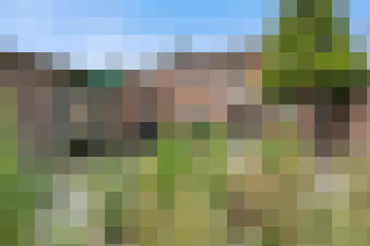President Steynstraat 1 Waalwijk thumbnail 4