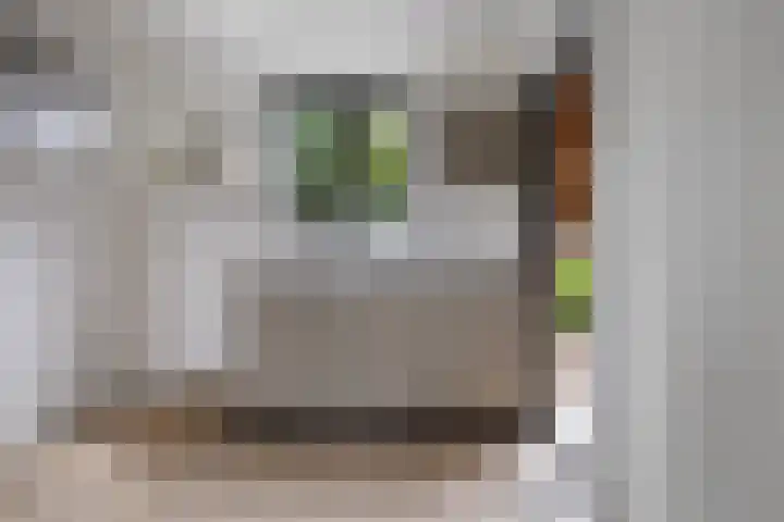President Steynstraat 1 Waalwijk thumbnail 8