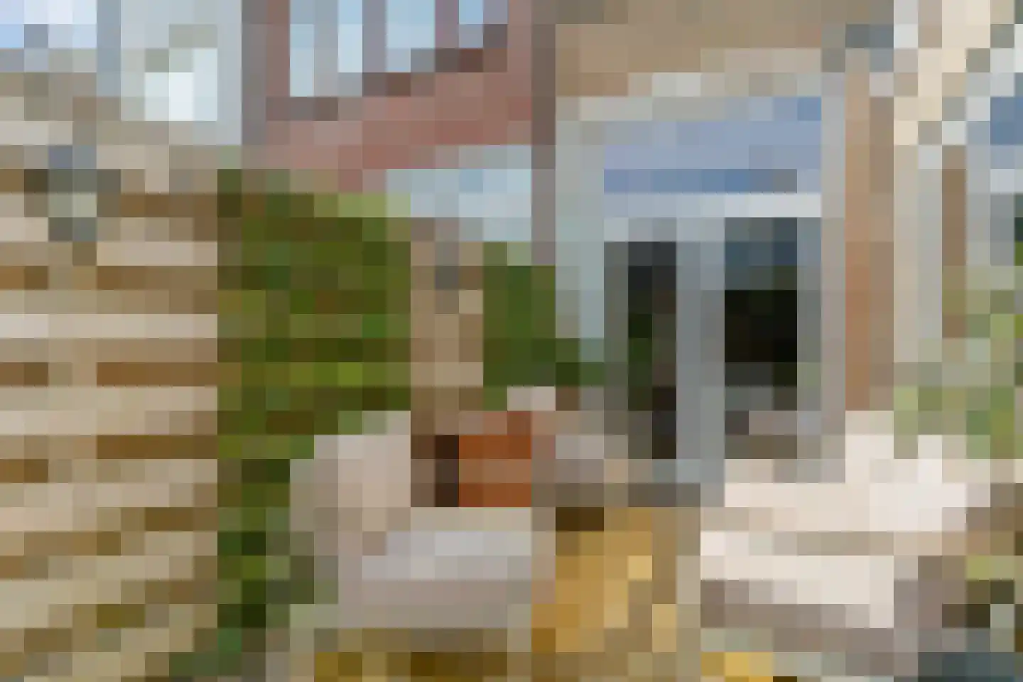 President Steynstraat 23 Maassluis thumbnail 33