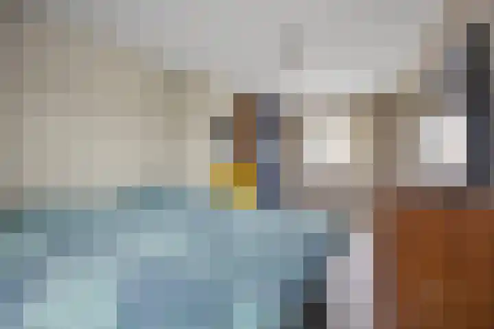 President Steynstraat 5 Waalwijk thumbnail 18