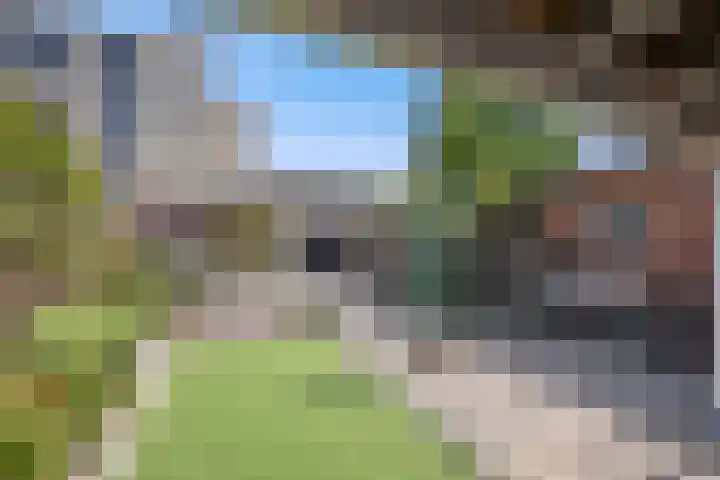 President Steynstraat 5 Waalwijk thumbnail 4