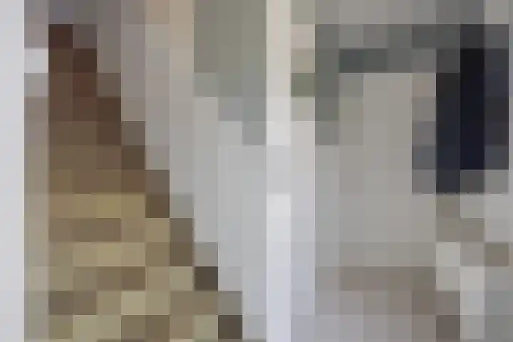 President Steynstraat 5 Waalwijk thumbnail 6