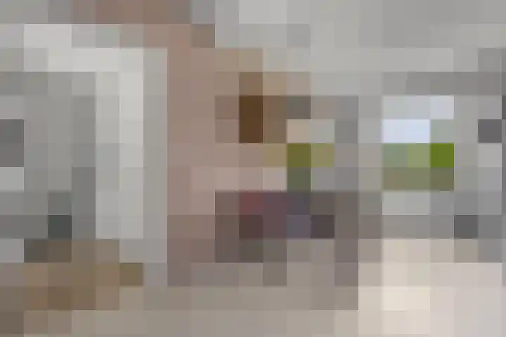 President Steynstraat 5 Waalwijk thumbnail 8
