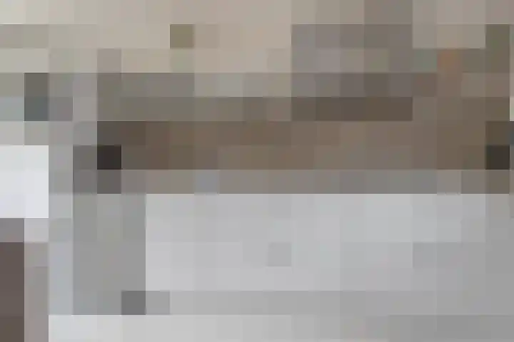 President Steynstraat 5 Waalwijk thumbnail 9