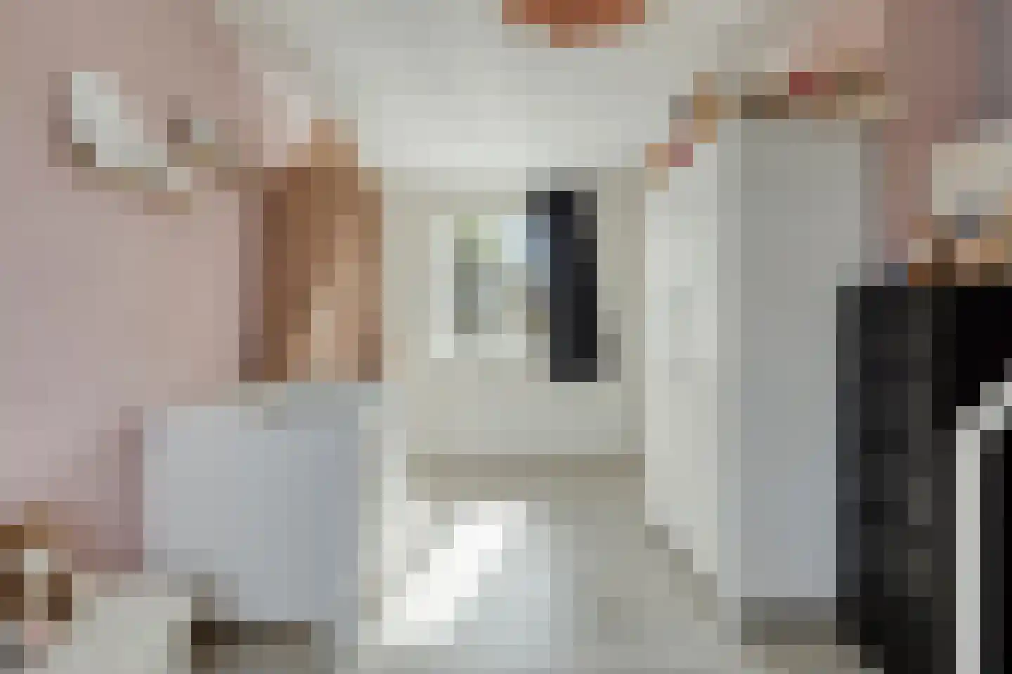 President Steynstraat 7 Waalwijk thumbnail 17