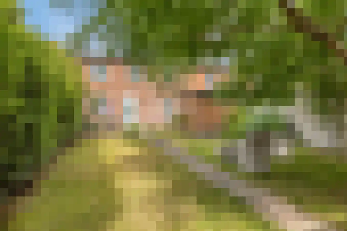 President Steynstraat 7 Waalwijk thumbnail 4