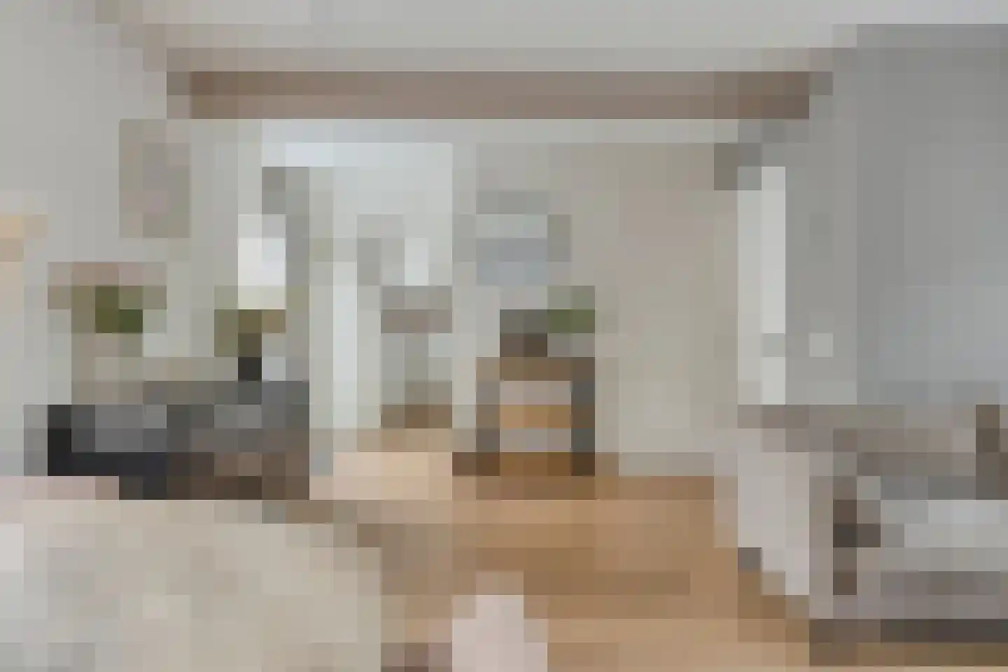 President Steynstraat 7 Waalwijk thumbnail 6