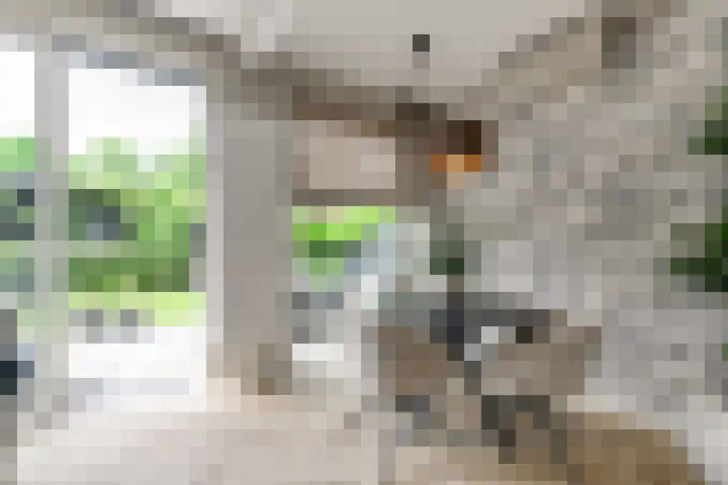 President van Heelstraat 30 Hoek van Holland thumbnail 19