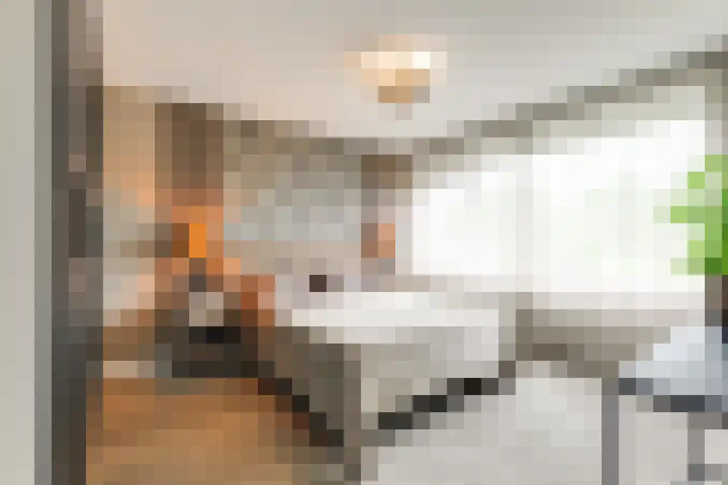 President van Heelstraat 30 Hoek van Holland thumbnail 5