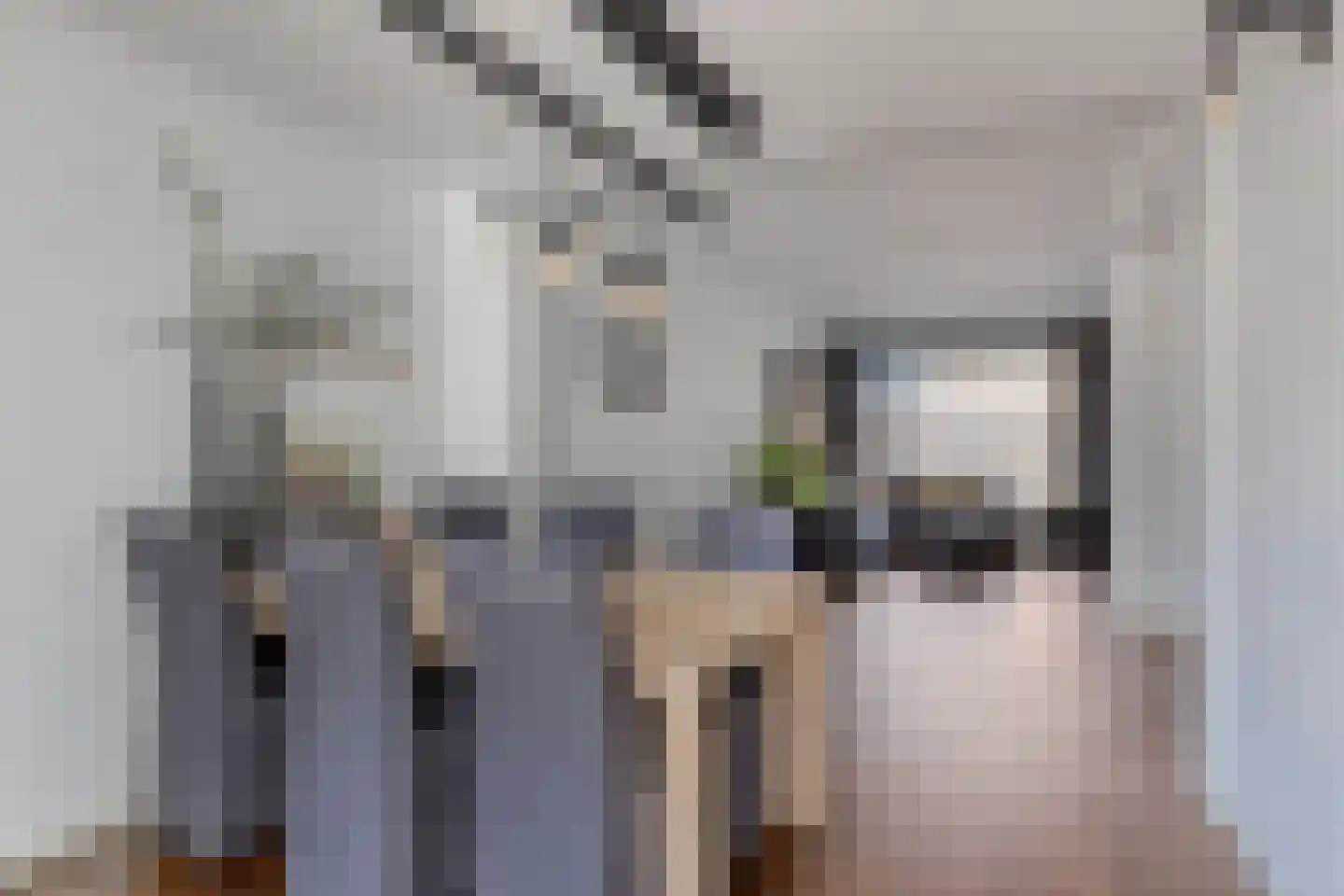 President Verpoortenstraat 6 Gemert thumbnail 14