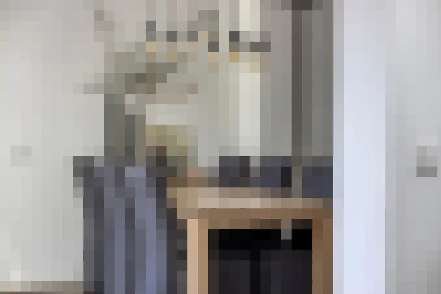 President Verpoortenstraat 6 Gemert thumbnail 16