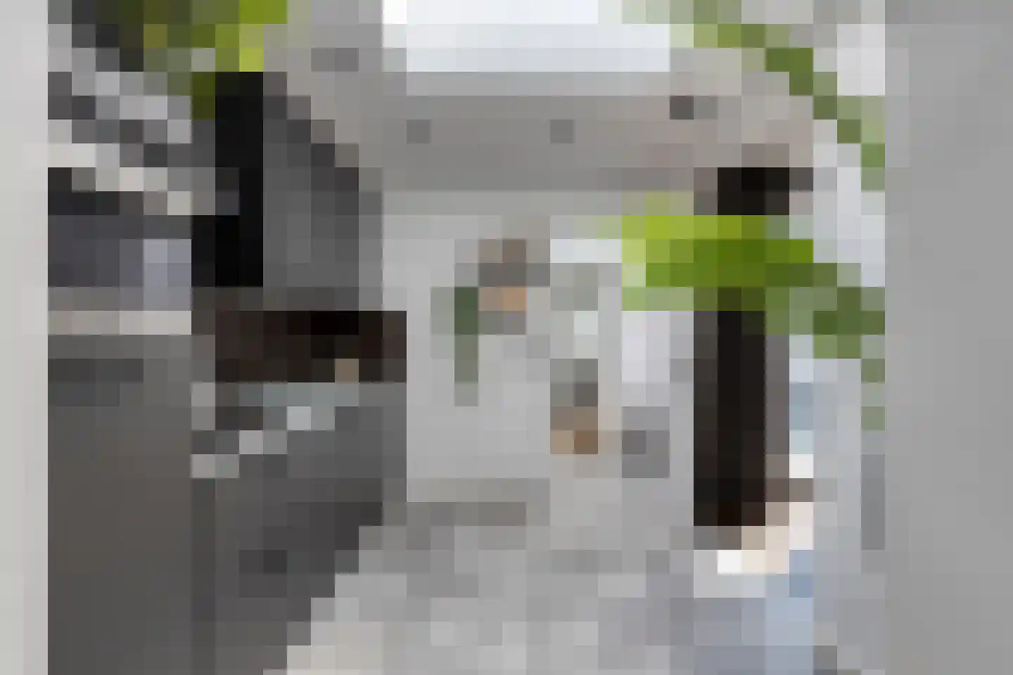 President Verpoortenstraat 6 Gemert thumbnail 19