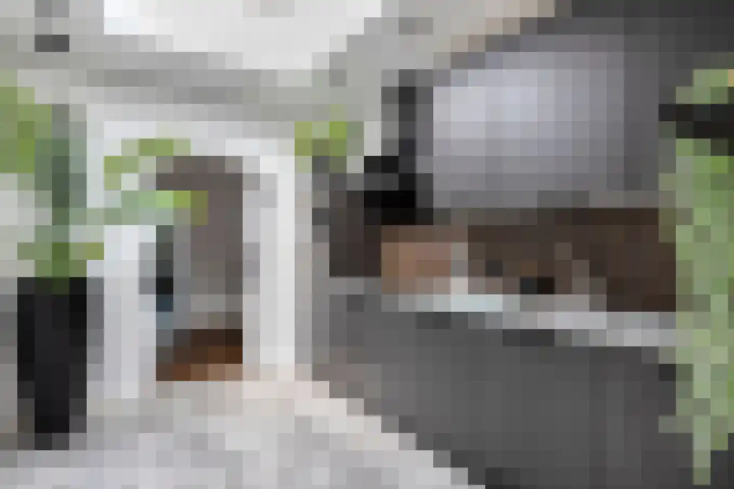 President Verpoortenstraat 6 Gemert thumbnail 20