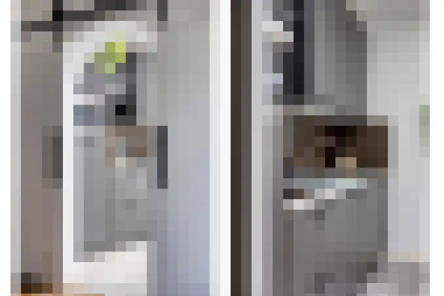 President Verpoortenstraat 6 Gemert thumbnail 21